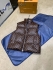 Louis Vuitton Vest LVV31456